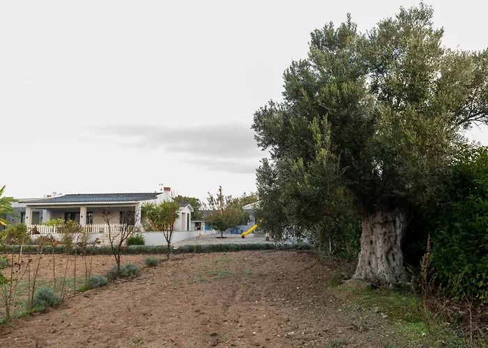 Bi ' Masa Culinary Farm Üdülőközpont *