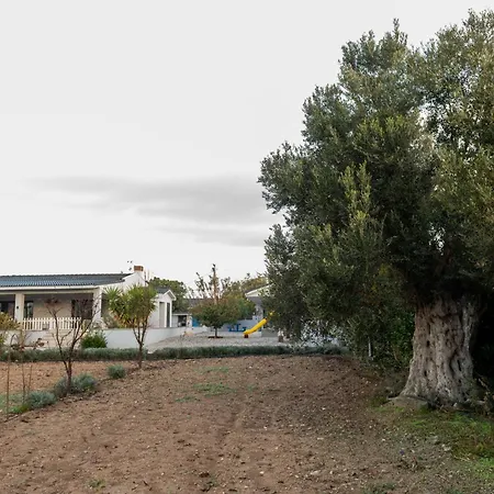 Bi ' Masa Culinary Farm אתר נופש *